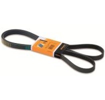 Courroie Striée (copie)